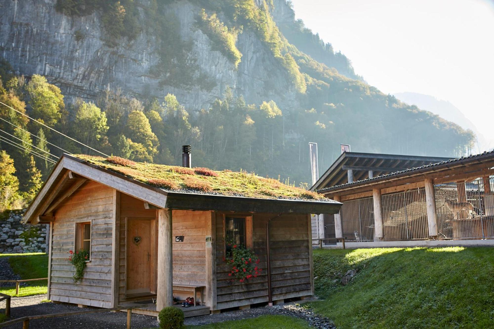 Hüttenhotel Husky Lodge Muotathal Exterior foto